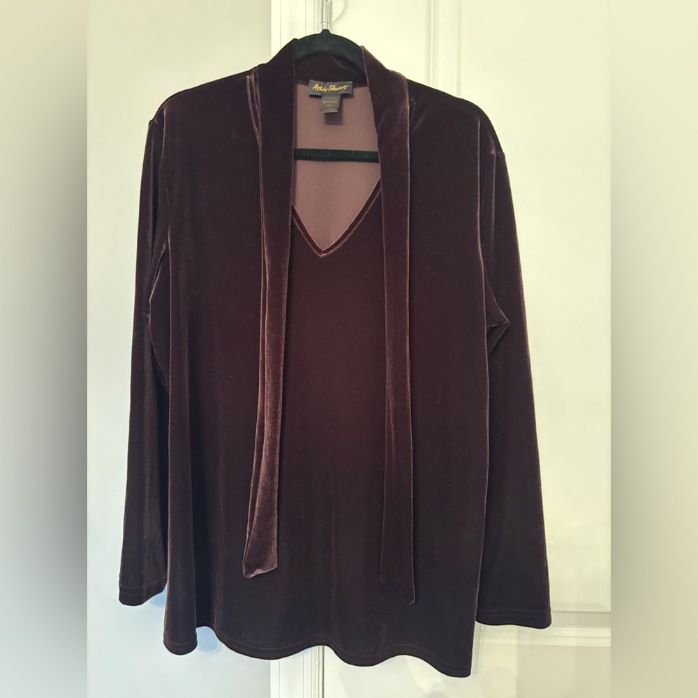 Vintage Ashley Stewart Velvet V-Neck Top with Long Scarf Tie - Maroon/Brown